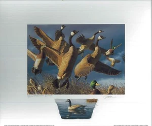 CALIFORNIA #30 2000 STATE DUCK PRINT Robert Steiner, Color Remarque #42/250  - Picture 1 of 1