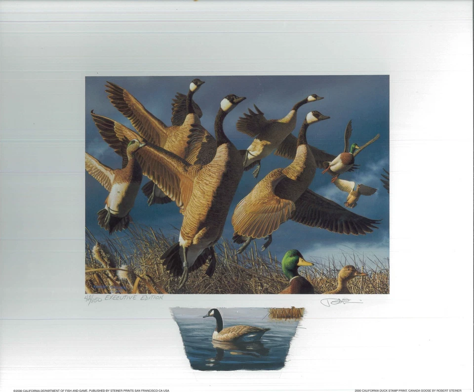 CALIFORNIA #30 2000 STATE DUCK PRINT Robert Steiner, Color Remarque #42/250  - Image 1 of 1