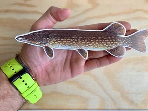 Pike Fish Sticker Northern Pike Fishing Car Bumper Decal - Picture 1 of 3