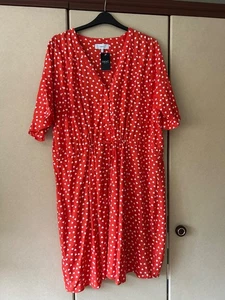 Next Shirt dress size 24 new unworn with tags Knee length. Really pretty - Picture 1 of 2
