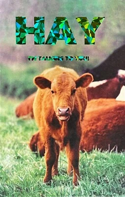 Tarjeta divertida GET WELL SOON, vaca de heno hablando contigo por saludos populares + sobre Foto 1 de 4