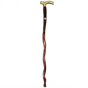 Bastone da passeggio vintage attorcigliato toro organo canna ottone manico a T bufalo nichel intarsiato - Foto 1 di 19