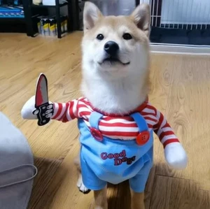 Dog Cat Pet Funny Costume Chucky Deadly Doll Cosplay Party Fancy HALLOWEEN Cloth - Picture 1 of 3