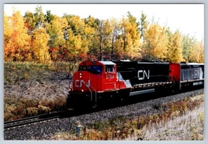 CN 5794 - 2450 Train #398, M30 Halton Sub., Ontario 1999 4x6 Photo - Picture 1 of 2