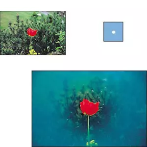 Cokin Spot-Blue A67 filter - Picture 1 of 4