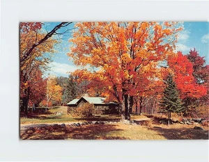 Postcard In the autumn season USA - Picture 1 of 2