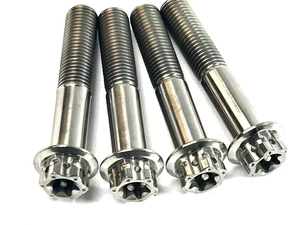 Aprilia RSV4 RF 2016-2022 DUAL-DRIVE TITAN BREMSSATTELSCHRAUBEN VORNE - Bild 1 von 23