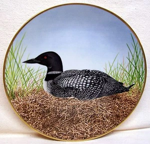 Waterbird Plate Great Northern Diver West Germany Danbury Mint By Eric Tenney - Picture 1 of 2