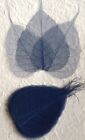 25 Dark Blue Po Bo Banyan leaves skeleton leaf see through Wedding crafts Large