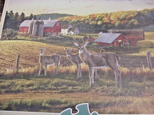 DARRELL BUISH BUFFALO PUZZLE 1000 PIECES - Picture 1 of 3