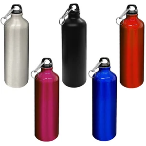 Aluminium Trinkflasche 0,75 L mit Karabiner Alu Wasserflasche Sportflasche - Picture 1 of 12