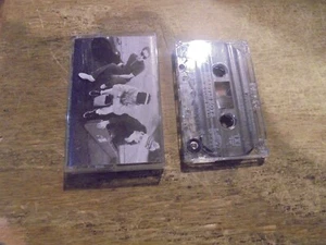 The Beastie Boys  Check Your Head Cassette Tape  tested - Picture 1 of 2
