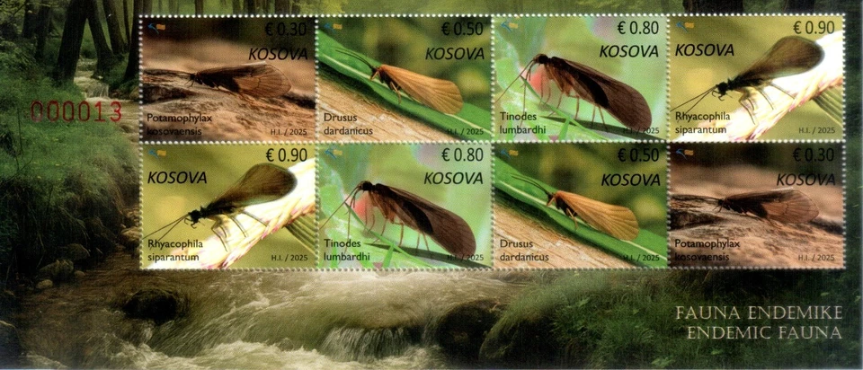 Estampillas de Kosovo 2025. Fauna endémica: Insecto. Mini hoja MNH Foto 1 de 1