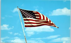 BANDIERA AMERICANA 50 Star Flag at INDEPENDENCE HALL Philadelphia, PA - Cartolina postale - Foto 1 di 2