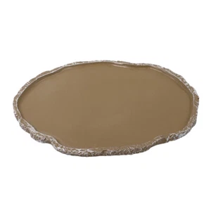 Reptile Bowl Tortoise Water Dish Turtle Feeding Flat Dishes for Reptiles - Picture 1 of 10