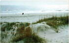 Outer Banks, North Carolina, fishing, beaches, surf fishing, pier fishi postcard