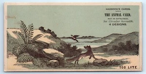 Haddock's Animal Card's Sample "Too Late" Fox Missed The Bird Trade Card PP - Bild 1 von 2