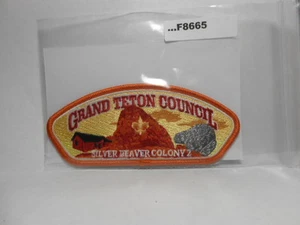 GRAND TETON COUNCIL SILVER BEAVER COLONY 2 ORANGE BDR F8665 - Foto 1 di 1