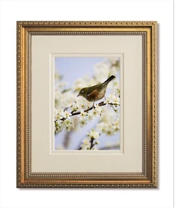 8x10 traditionelle verziertes Gold Rahmen, Glas & doppelte warmweiße Matte für 5x7 - Bild 1 von 4