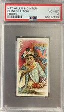 1891 N12 Allen & Ginter Fruits CHINESE LITCHI PSA 4 VG-EX