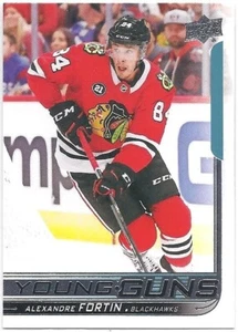 Tarjeta de novato Alexandre Fortin 2018-19 Upper Deck Young Guns RC #490 - Imagen 1 de 1