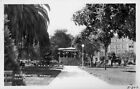 Section of the Park Gilroy California 1950s OLD PHOTO