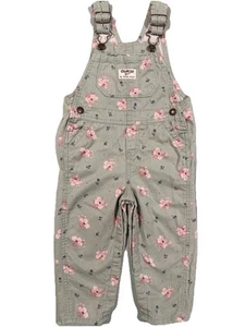 OshKosh B'gosh Vestbak Baby Girls 12M Green Pink Denim Floral Overalls EUC 12-18 - Picture 1 of 22