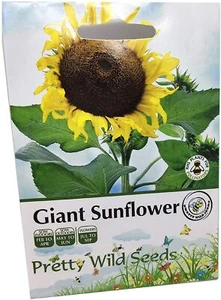 Giant Sunflower Seed Large Pictorial Packet Contains 20 Seeds - Picture 1 of 2