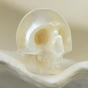 Trapano verticale 9,70 mm intagliato panna bianco perla acqua dolce teschio umano perline 0,79 g - Foto 1 di 14