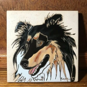 Collie Dog, Tri Rough Coat - Azulejos pintados a mano por azulejo de calabaza - 6 x 6" - D47TRI - Imagen 1 de 1