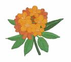 Rhododendron Flower Embroidered Iron On/Sew Patch [5.72"X 5.24"]