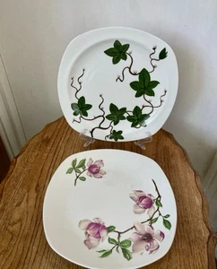 Vintage 2 X Style craft Midwinter Contrasting 10” Plates, Magnolia & Cottage Ivy - Picture 1 of 11