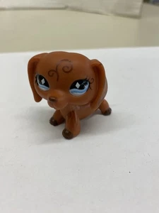 Little Pet Shop #640 Swirl Brown DACHSHUND w/Blue Diamond Eyes LPS - Foto 1 di 8