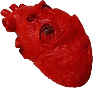Látex Suave TAMAÑO REAL FALSO CORAZÓN HUMANO Parte del Cuerpo Gory Aterrador Halloween Horror Utilería - Imagen 1 de 10