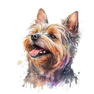 Pegatina coche pegatina Yorkshire Terrier pegatina 9x9 cm - Imagen 1 de 10