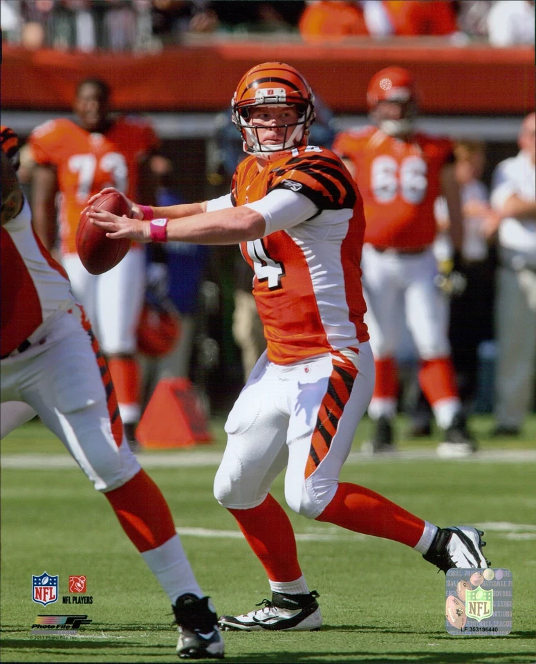 Andy Dalton Cincinnati Bengals NFL Licencia Sin Firmar Brillante 8x10 Foto C Foto 1 de 1