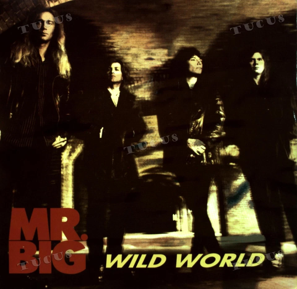 Mr. Big - Wild World 7" (VG+/VG+) '* - Image 1 of 1