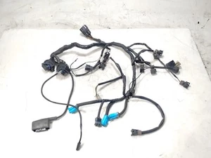 2001 Triumph Speed Triple 955i Engine Motor Main Wiring Wire Harness Loom - Foto 1 di 8