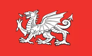 Englischer weißer Drache - 5' x 3' Flagge - Bild 1 von 1