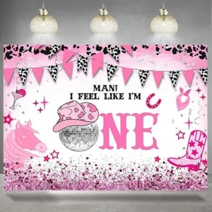 Western Cowgirl Birthday Photography Background Girl 1st Birthday Party Decor... - Picture 1 of 8
