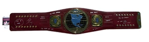 Johnny Gargano signiert & beschriftet WWE NXT Nordamerikanischer Champion Gürtel JSA COA - Bild 1 von 11