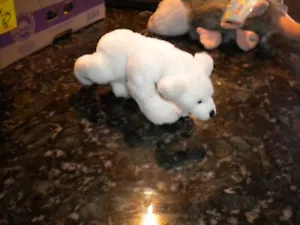 JUNGEN BÄREN PLÜSCH "EISBÄR " SCHNEEBÄR KOLLE " NEU MIT ETIKETT NICHT MEHR PRODUZIERT - Bild 1 von 2