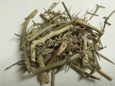 Herbasense Dhamasa Herb – Fagonia Schweifurthii Hadidi (Arabica) indica