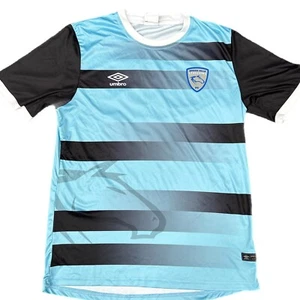 Spring Hill Stallions Player Issue Match Worn Soccer Jersey Football Guernsey - Picture 1 of 11