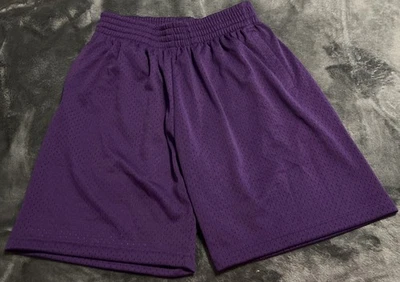 Средний Mitchell & Ness сетки шорты мужчин новый без ЯРЛЫКОВ ФИОЛЕТОВЫЙ - Изображение 1 из 4