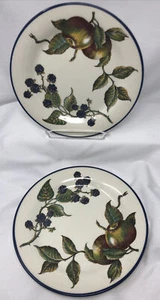 2 Pier 1 Macintosh 8” Salad Luncheon Plates  Angleterre England Apple Pear Fruit - Picture 1 of 3