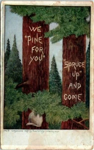 1910s Colorado Postcard Pun Trees We Pine Spruce Up Heavy Wear Damage Denver CO - Picture 1 of 2