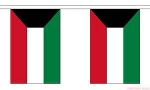 KUWAIT 9 METRE BUNTING 30 FLAGS flag KUWAITI CITY Middle east arab - Foto 1 di 1