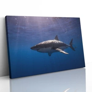 Great White Shark Canvas Print Picture Framed Wall Art Poster Paper Cage Diving - Picture 1 of 23