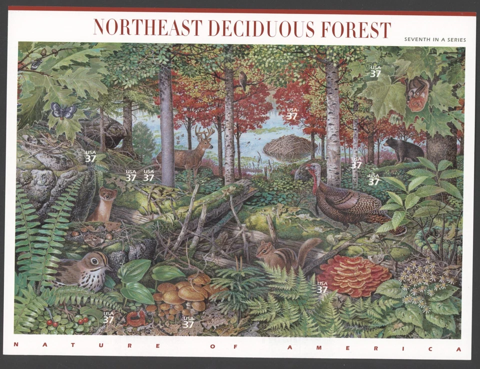 US SC# 3899 37c Northeast Deciduous Forest Sheet MNH - Image 1 of 1